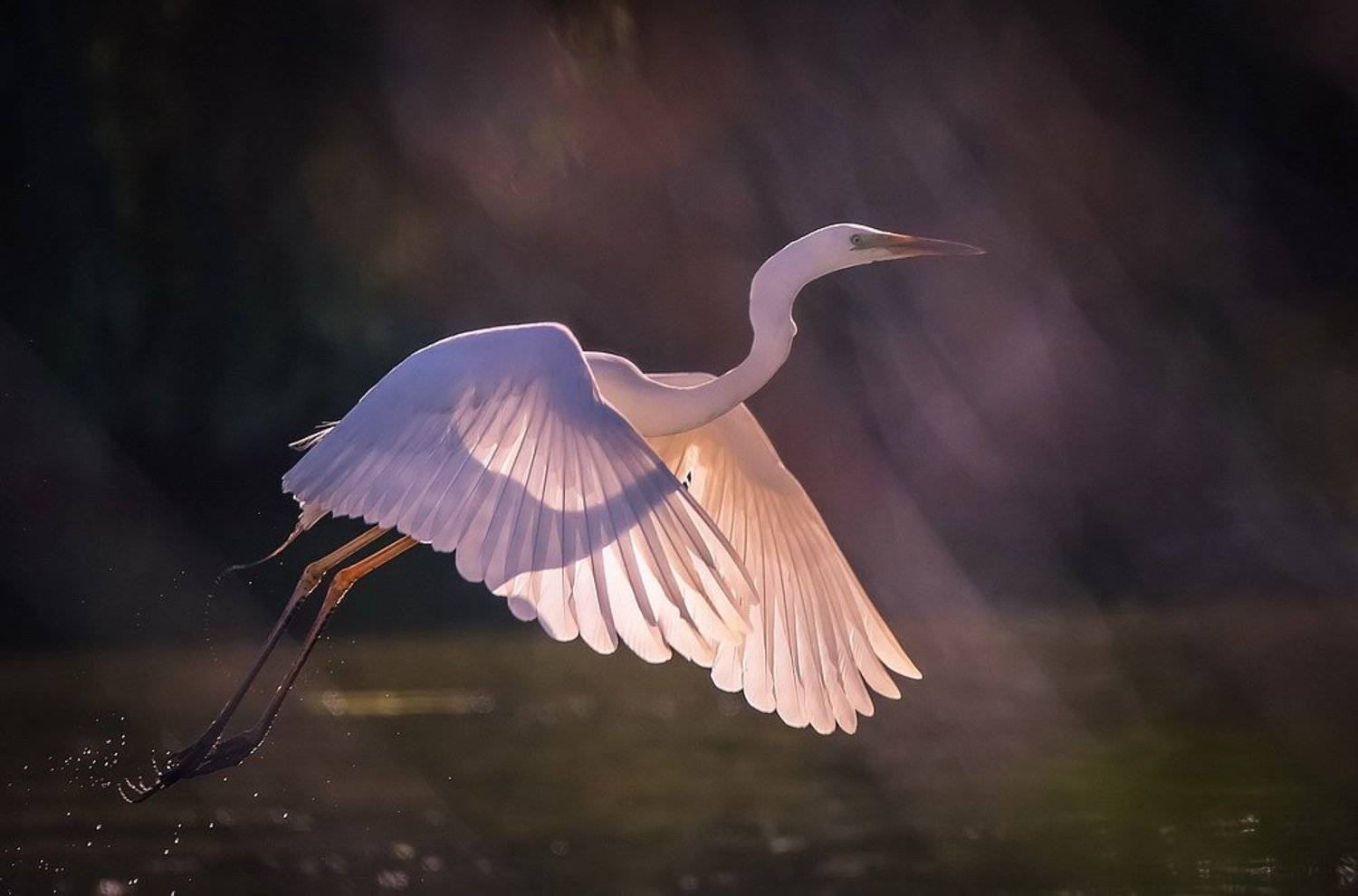 , Вячеслав Мищенко