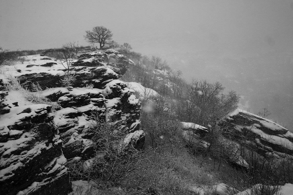 , Дитковский Евгений