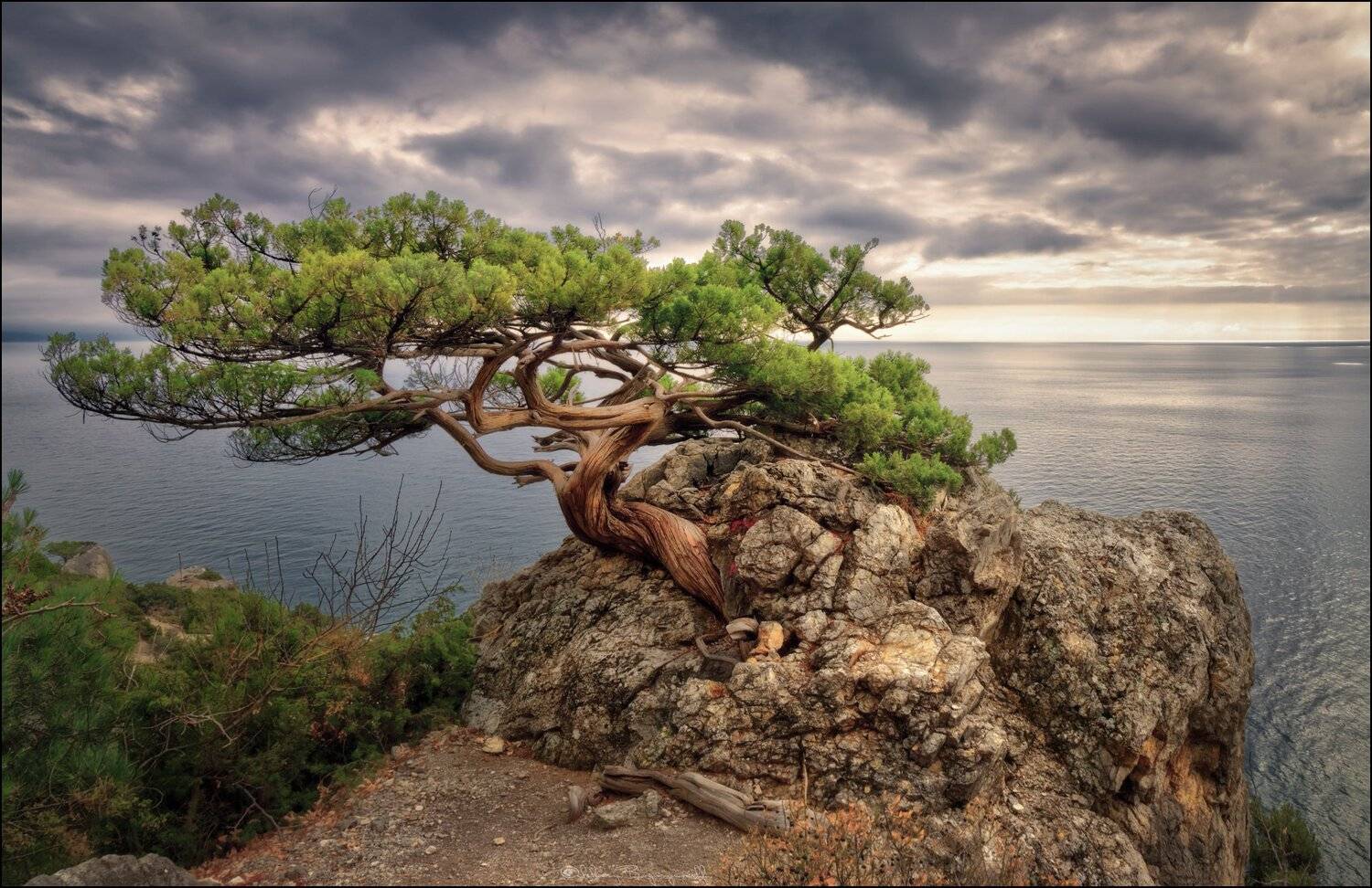 , Алексей Богорянов