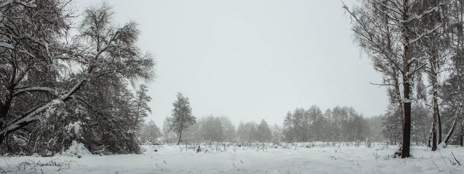 лес, зима, снег, туман, Руслан Востриков