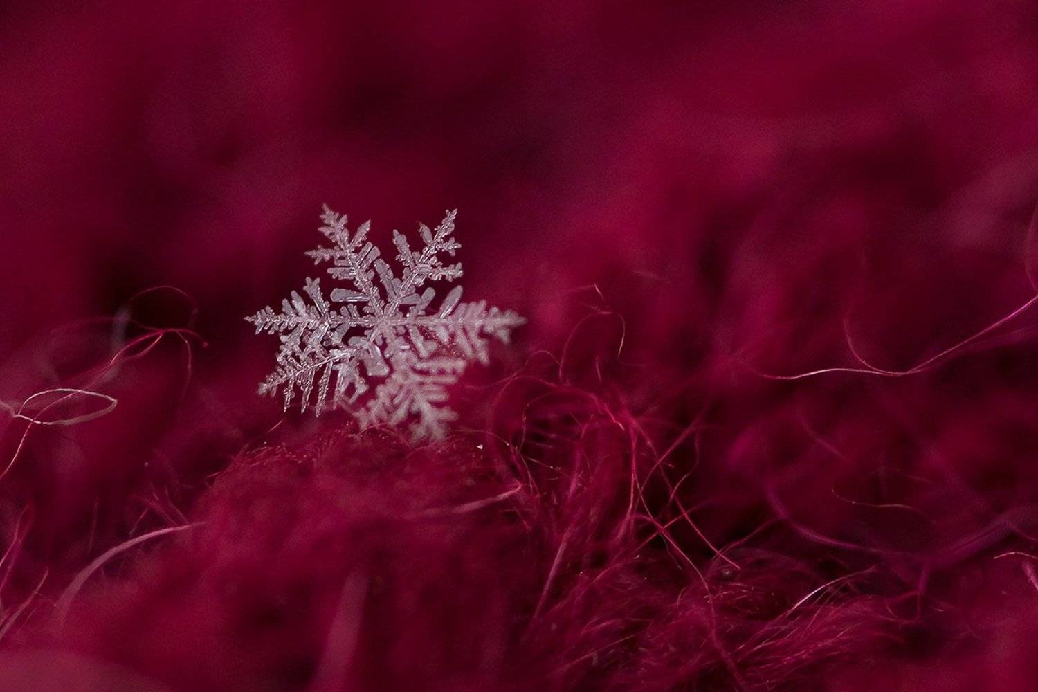 , Светлана Кужагалиева