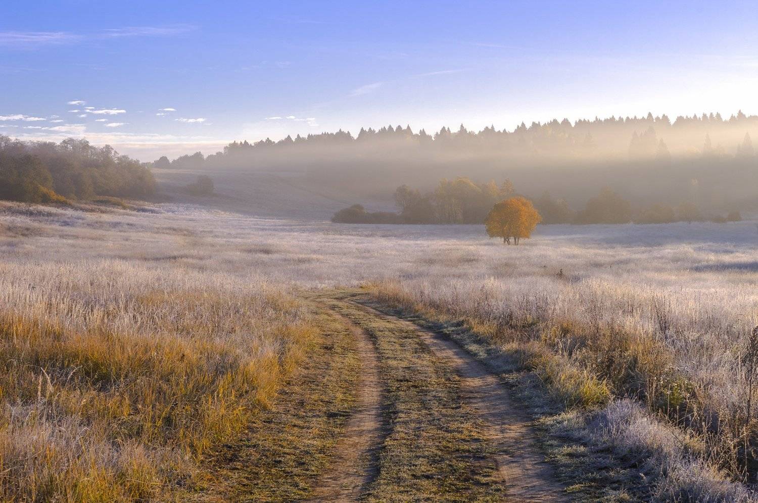 осень, утро, иней, Александр Кыров