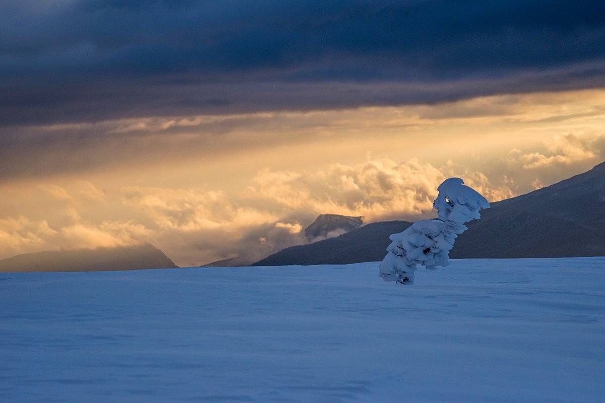 крым, Юрий Коваленко
