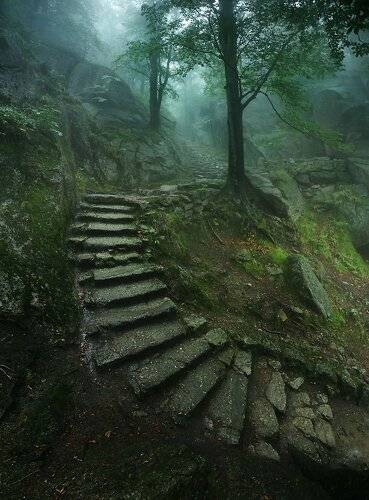 Stairway to the Old Castle