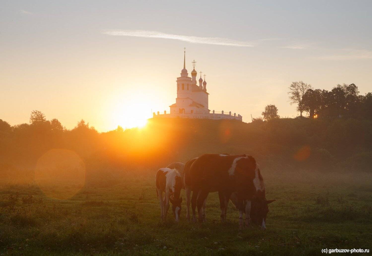 , Гарбузов Илья