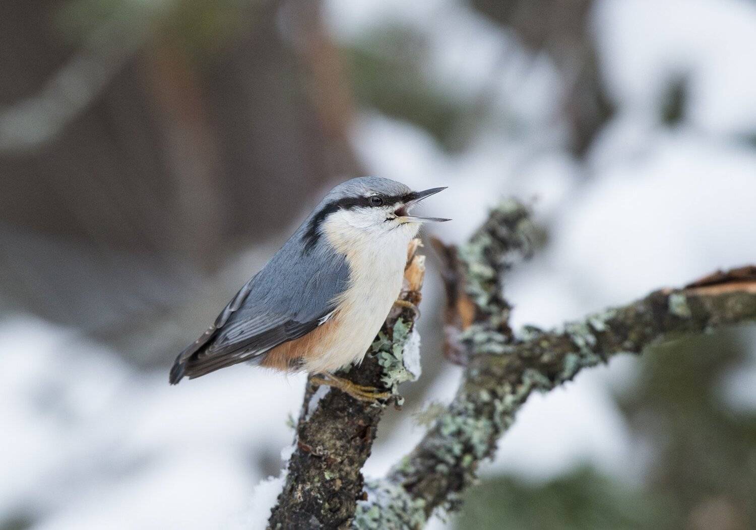 , Юрий Кулаков