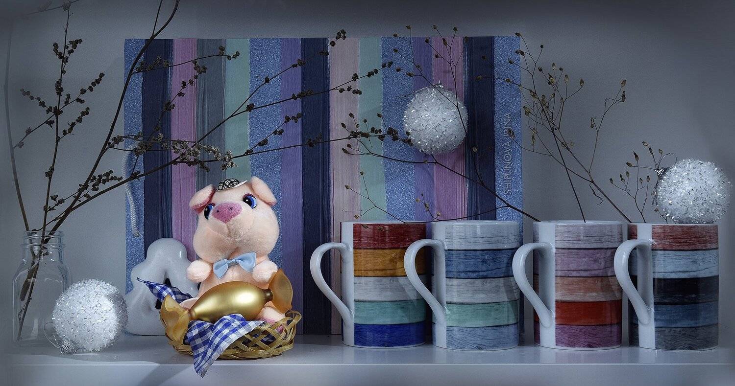 , Шипунова Ирина