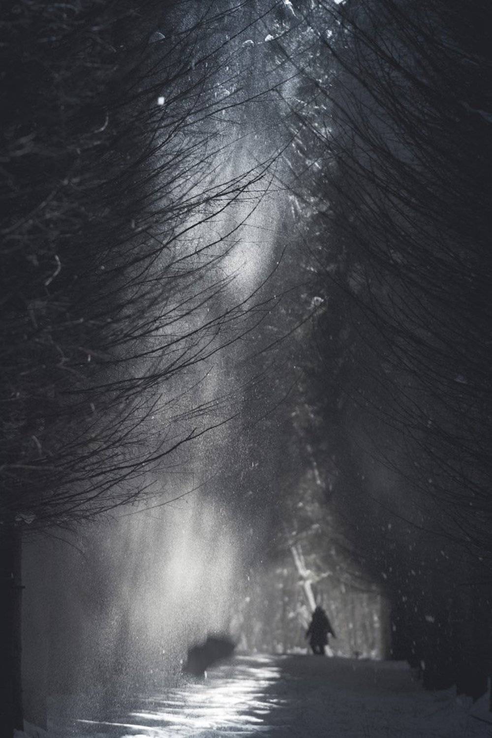 , Александр Константинов