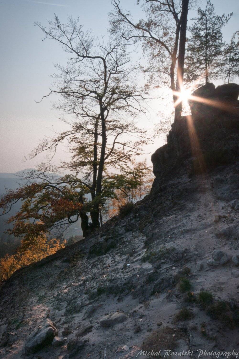 sunset, , light, , sunrays, , sunset, , bohemianswitzerland, , trees, Michal Rozalski