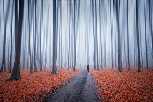 A man alone with himself