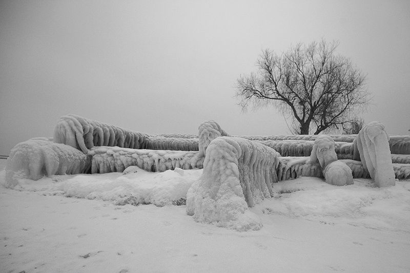 Монстры фото превью