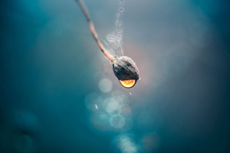 Закатная капля фото превью