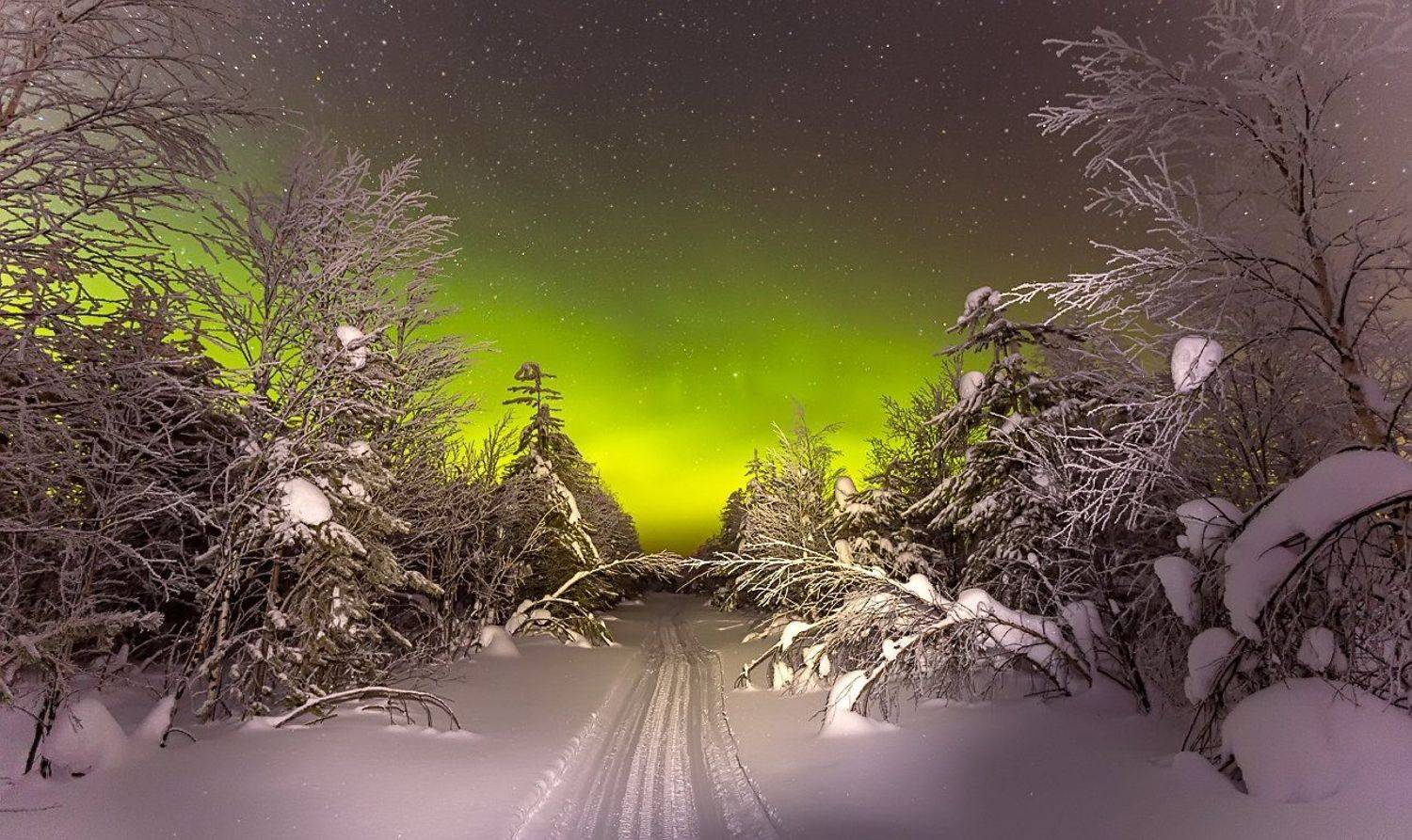 северное сияние,полярное сияние,сс,коми,природа,север,northern lights, polar lights, ss, komi, nature, north, Игорь Триер