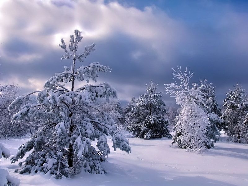 С Рождеством фото превью