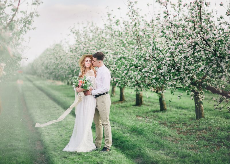 Сад фото превью