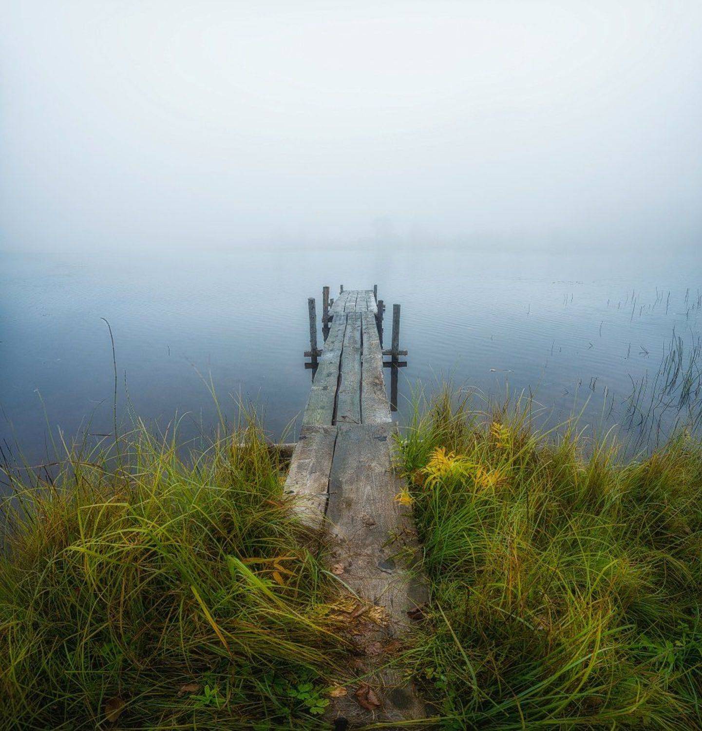 , Устюжанин Михаил