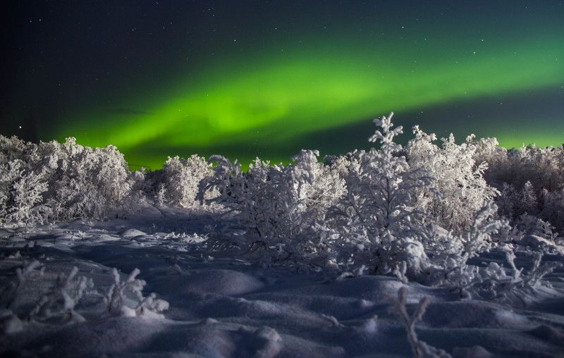 северное сияние, полярное сияние, снег, мороз, зима, ночь Зимняя сказка фото превью