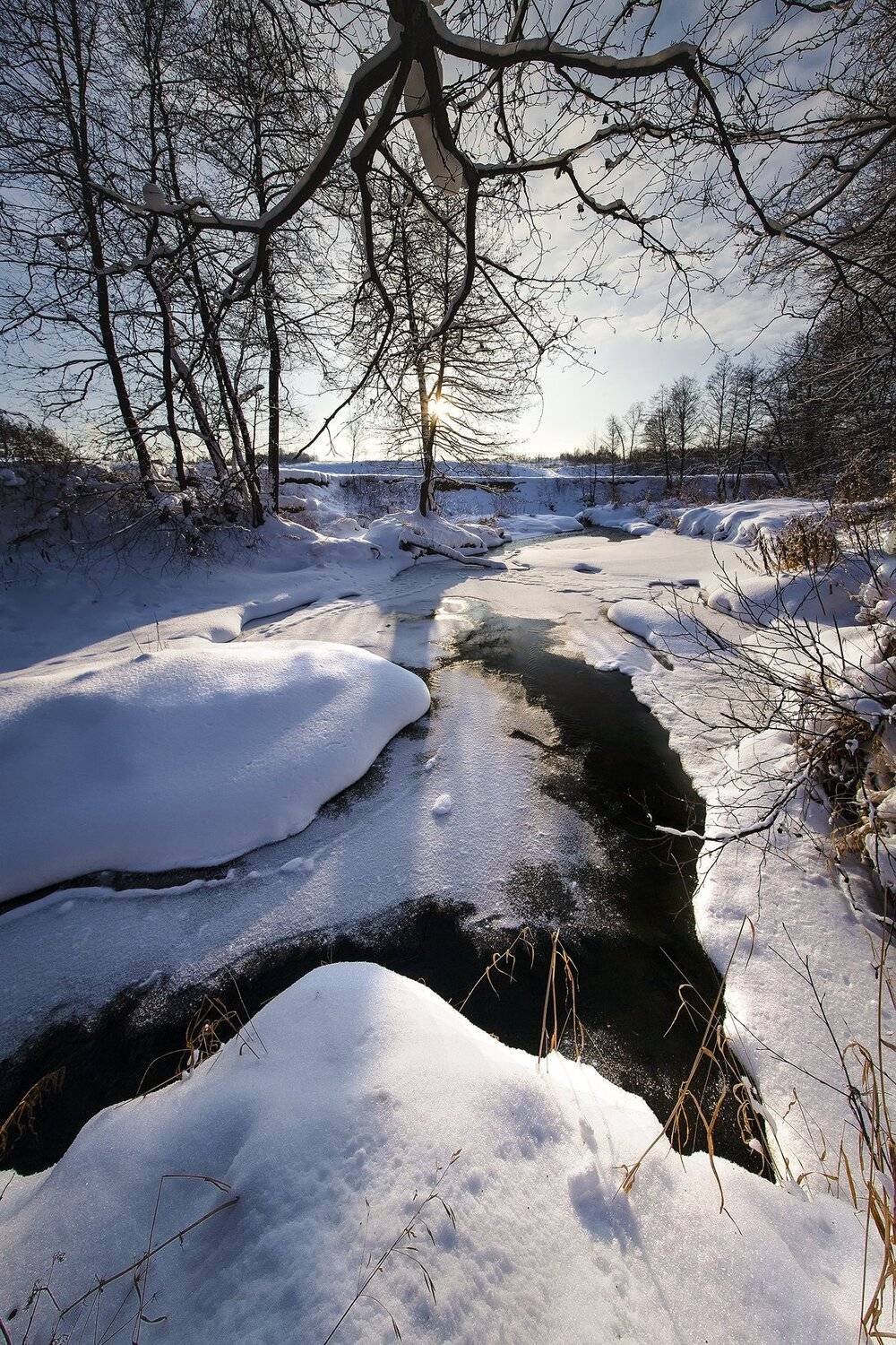 , Виталий Стрельцов