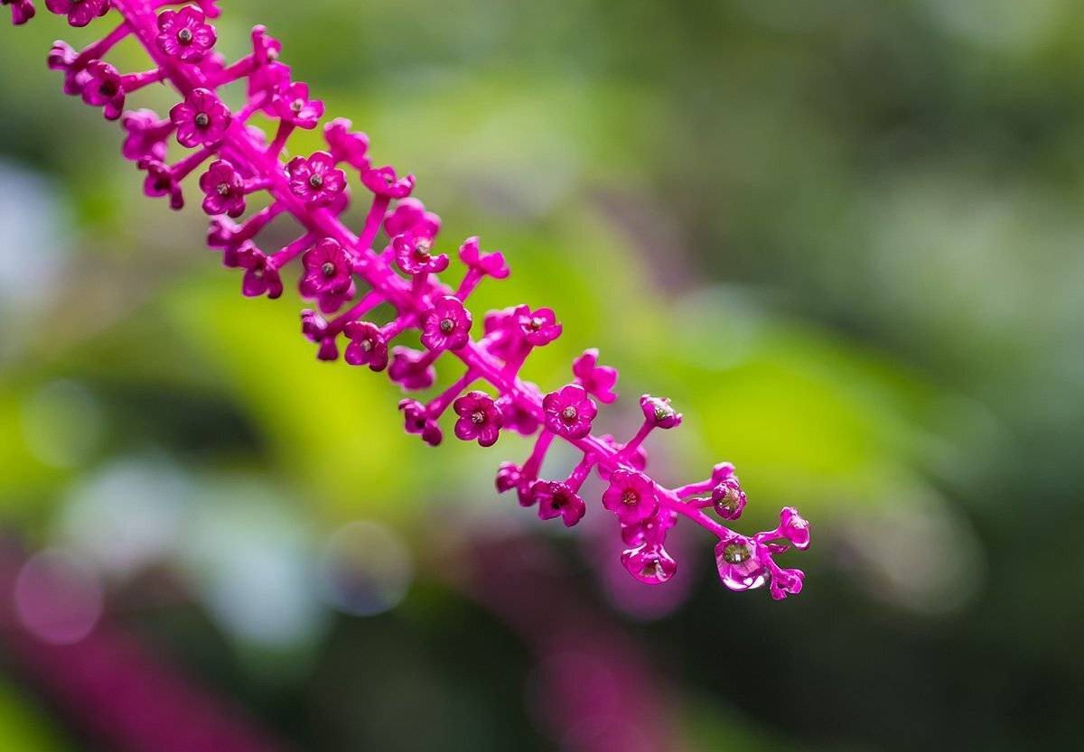 , Александр Земляной