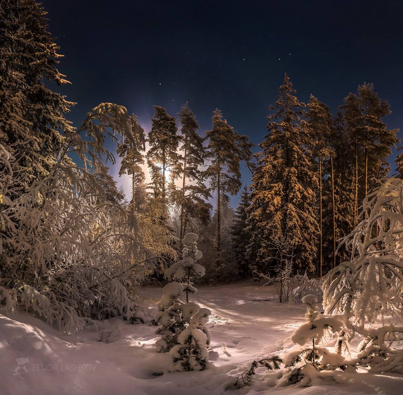 ночь, ленинградская область, зима, снег, полнолунье, луна, сосны, праздник, рождество, лес,, Лашков Фёдор