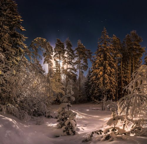 Рождественская ночь