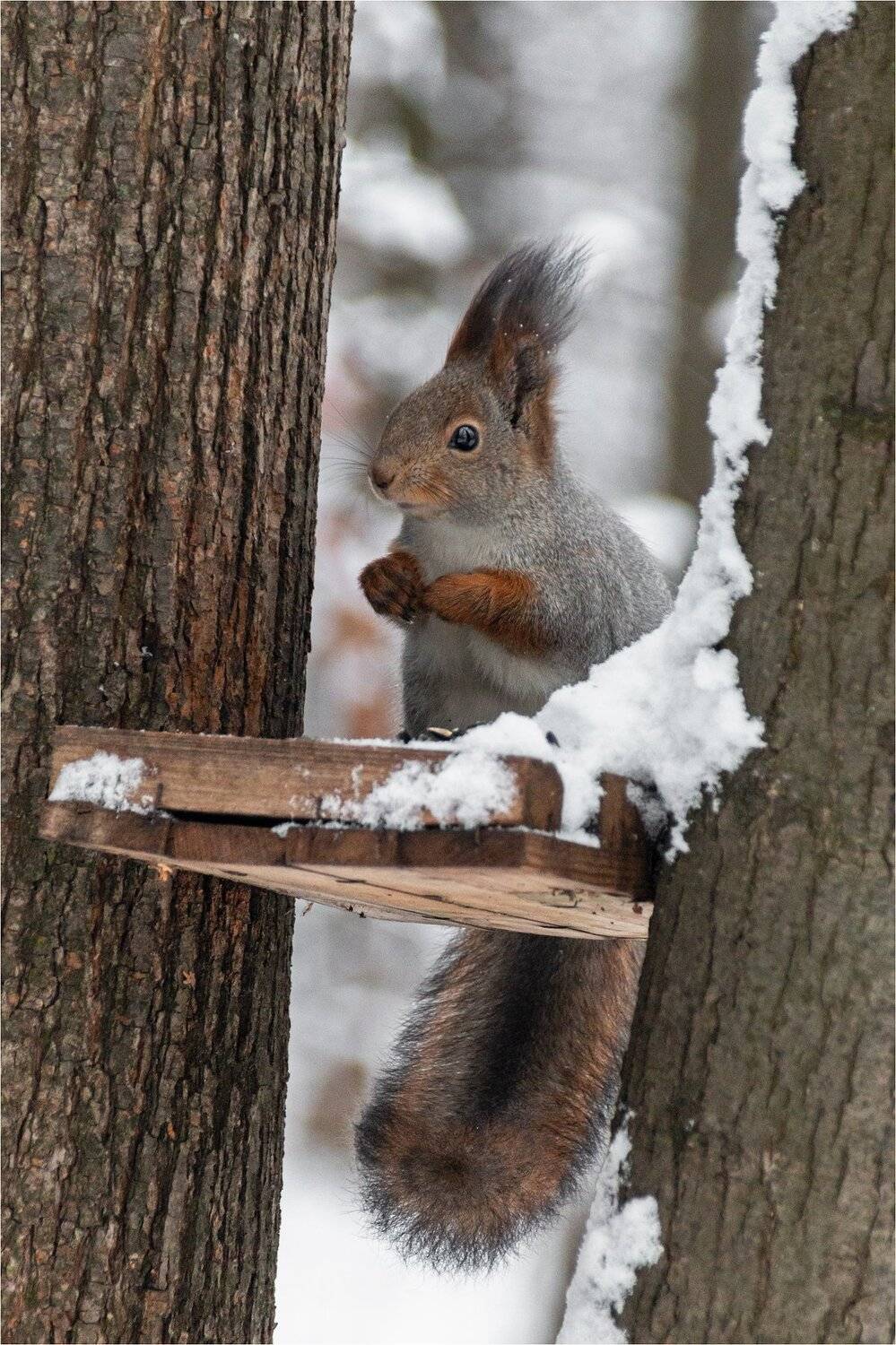 , Куликова Ирина