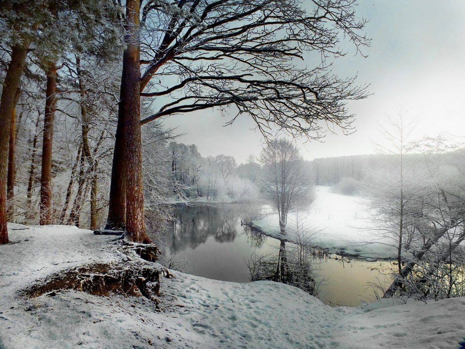 , Валерий Козуб