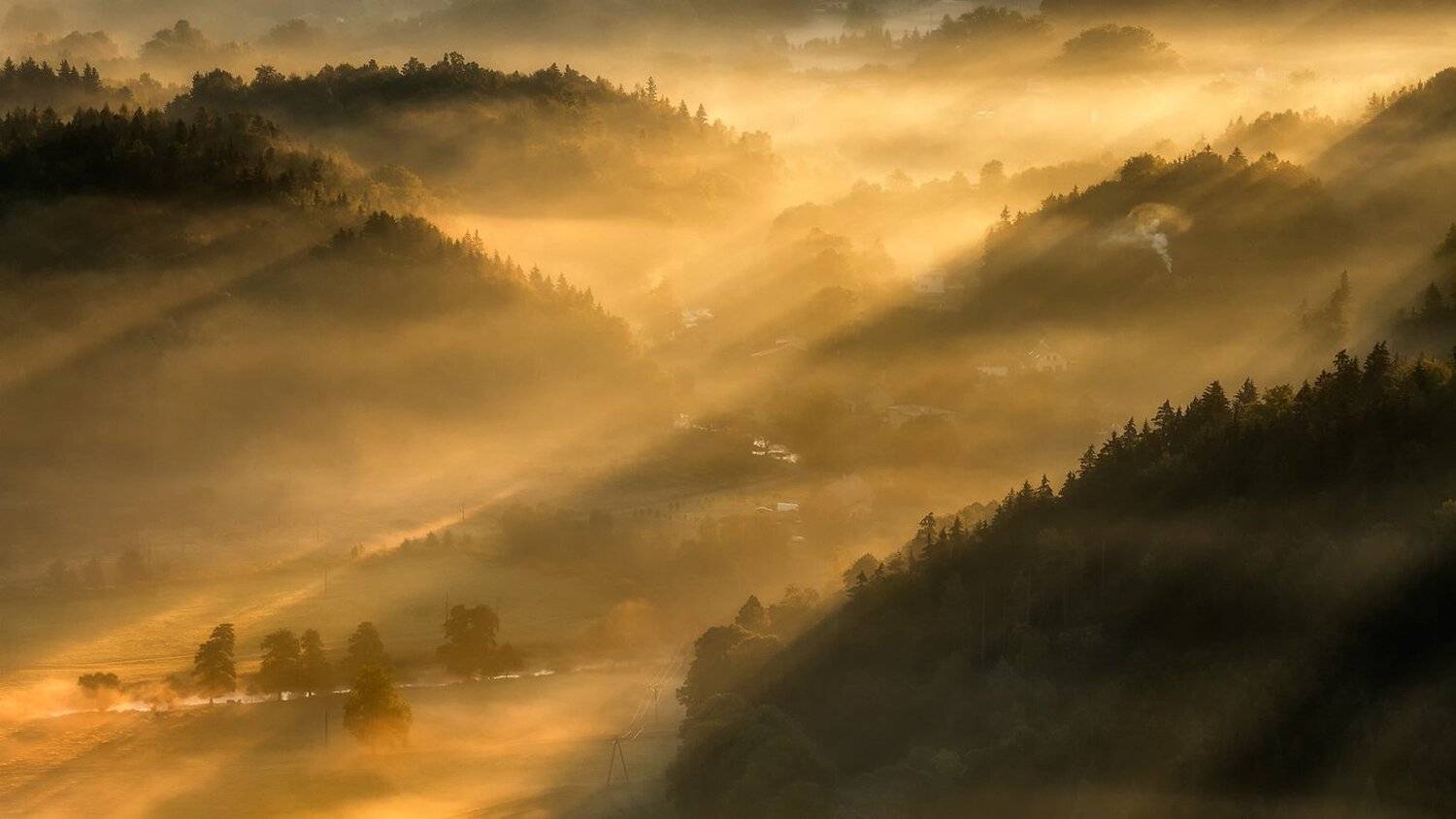 landscape,canon,mist,light,autumn, Iza i Darek Mitręga