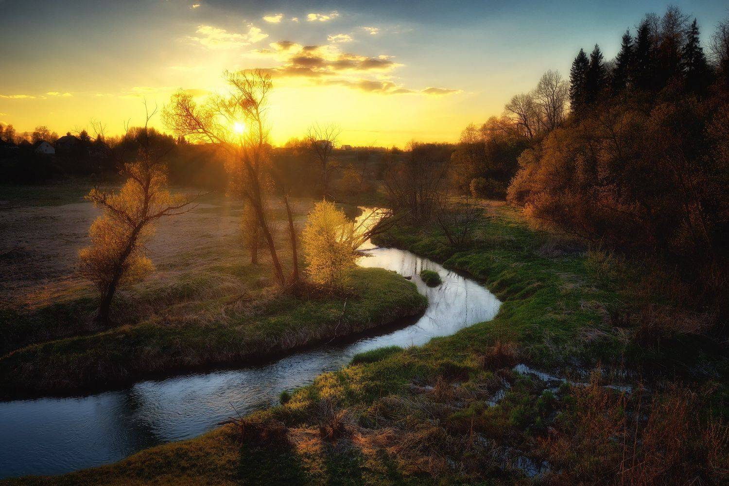 лес, природа, пейзаж, весна, река, вода, ручей, подмосковье, Алексей Никонов