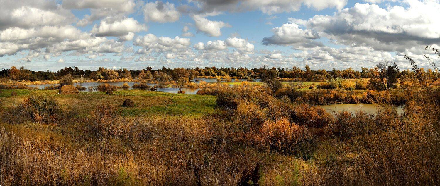 , Бусыгин Борис