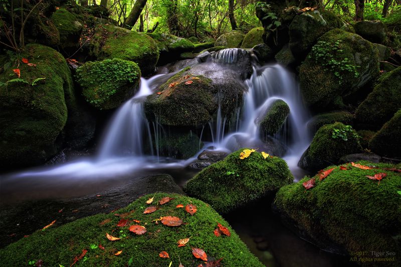 waterfall water moss flow stream green valley Korea landscape Deep valley фото превью