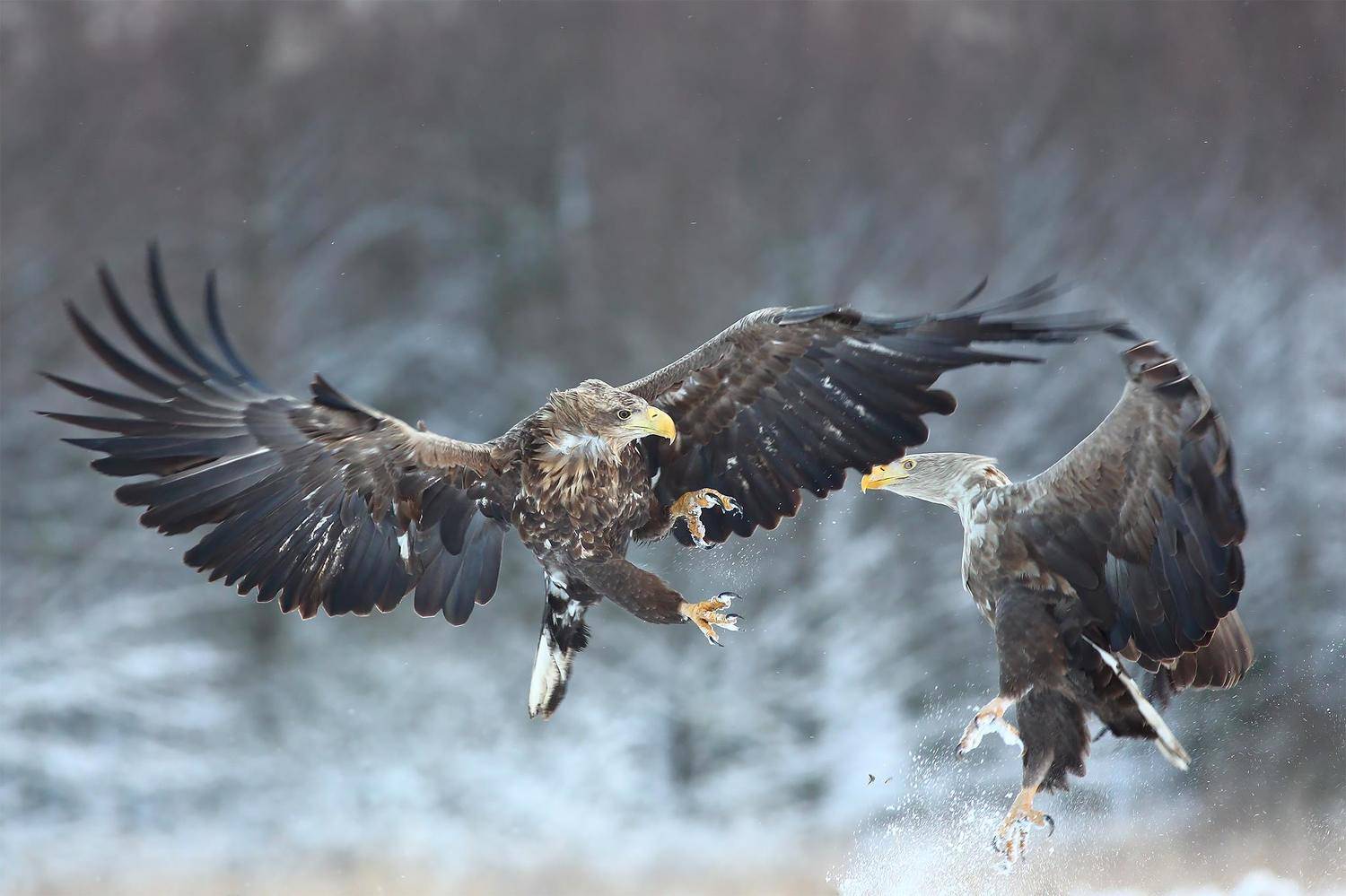 , Łukasz Sok&oacute;ł