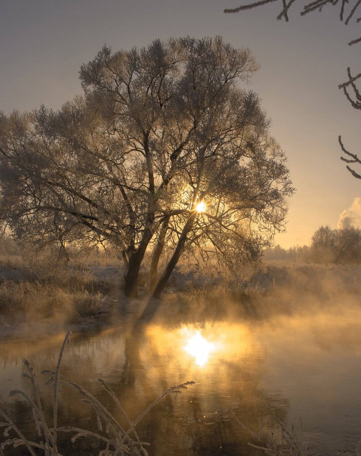 , Александр Кыров