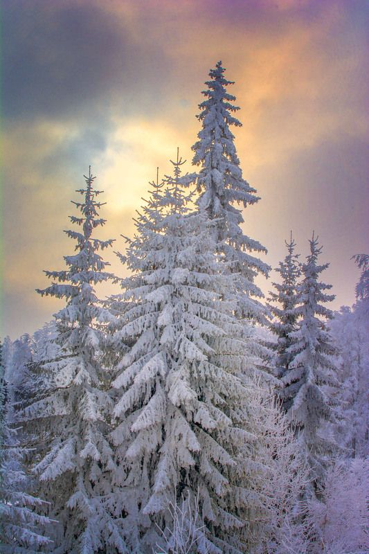 Landscape Winter Sunset фото превью