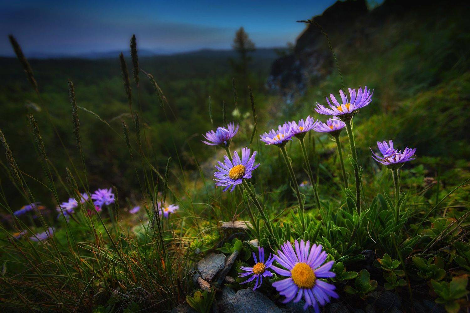, Павел Сагайдак