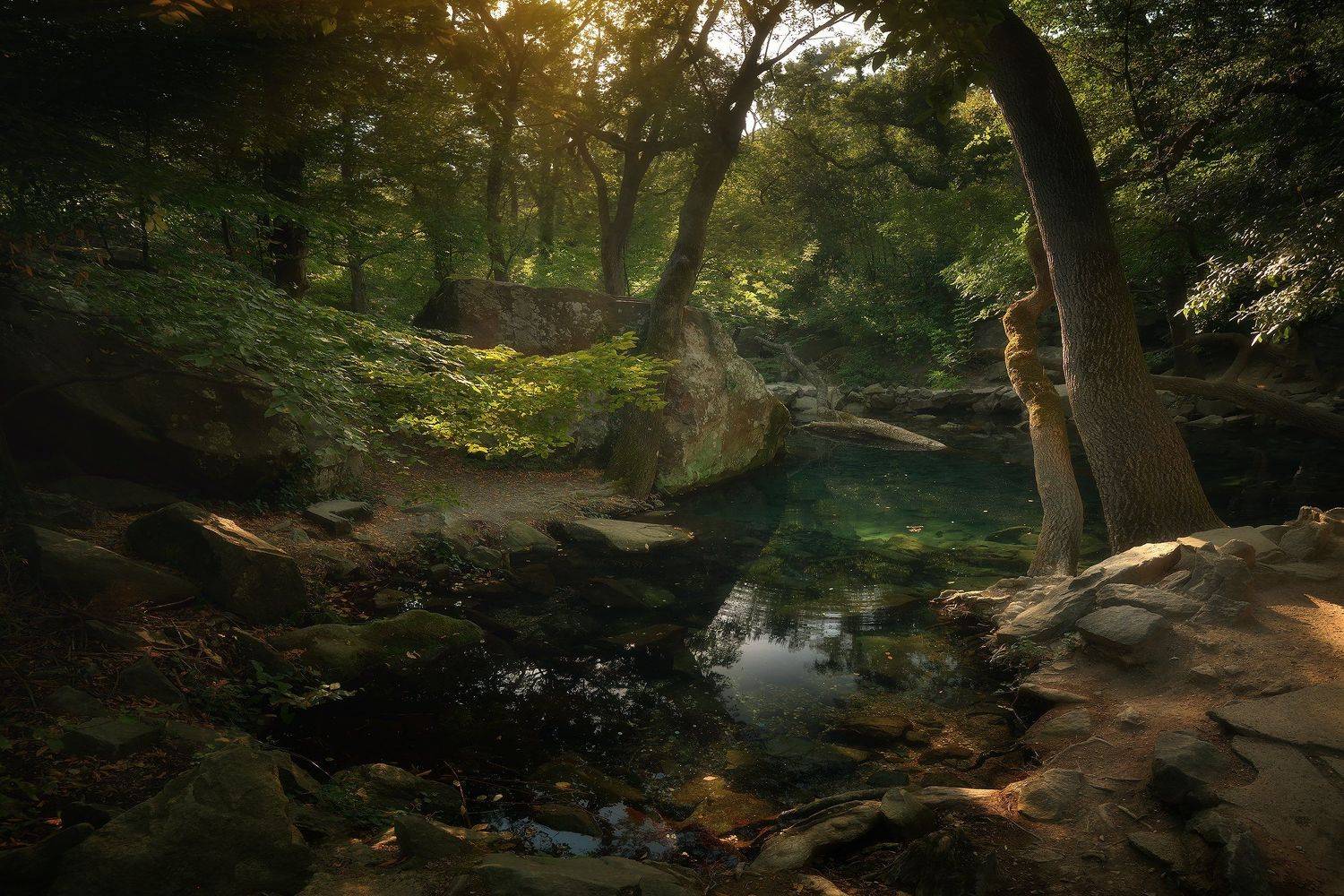 , Алексей Никонов