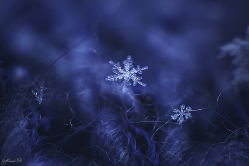 ...И пусть снежинки падают с небес...