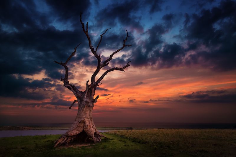 river, morning, sunrise, bridge, nature, sun, sky, myanmar Is This the End ...? фото превью