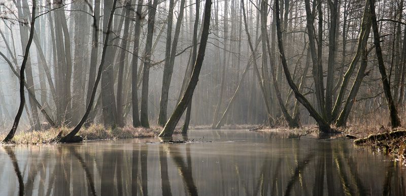 Myśla фото превью