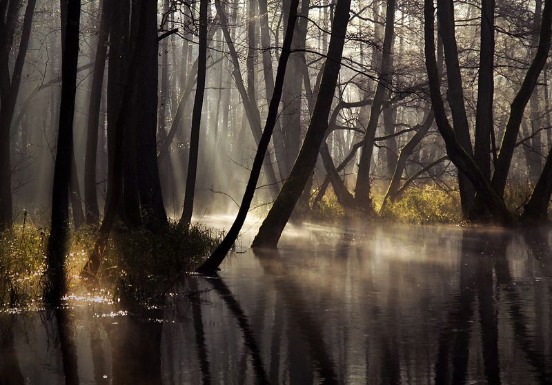 ...  фото превью