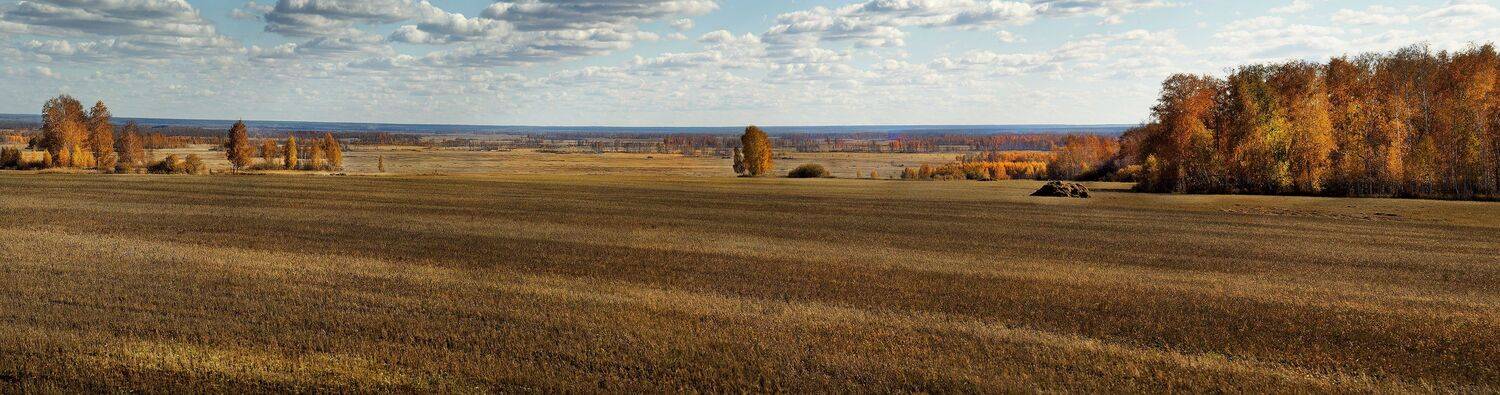 , Бусыгин Борис