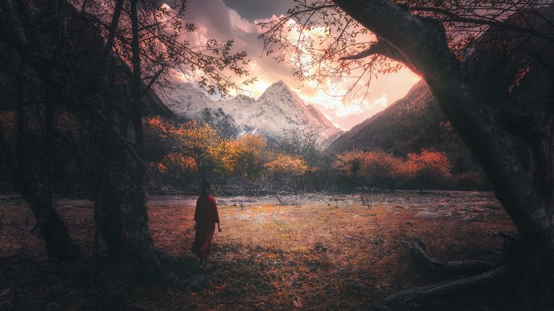 Life is a journey фото превью