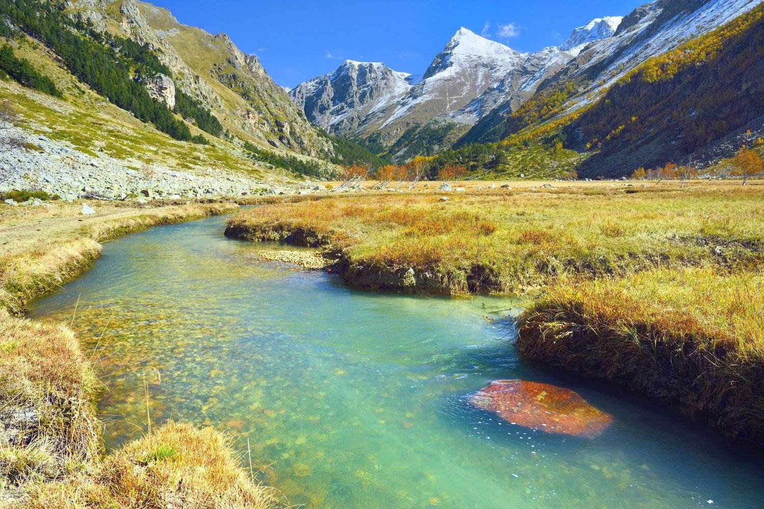 , Александр Жарников