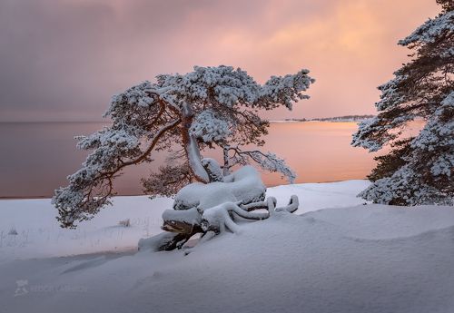 Декабрьская Ладога