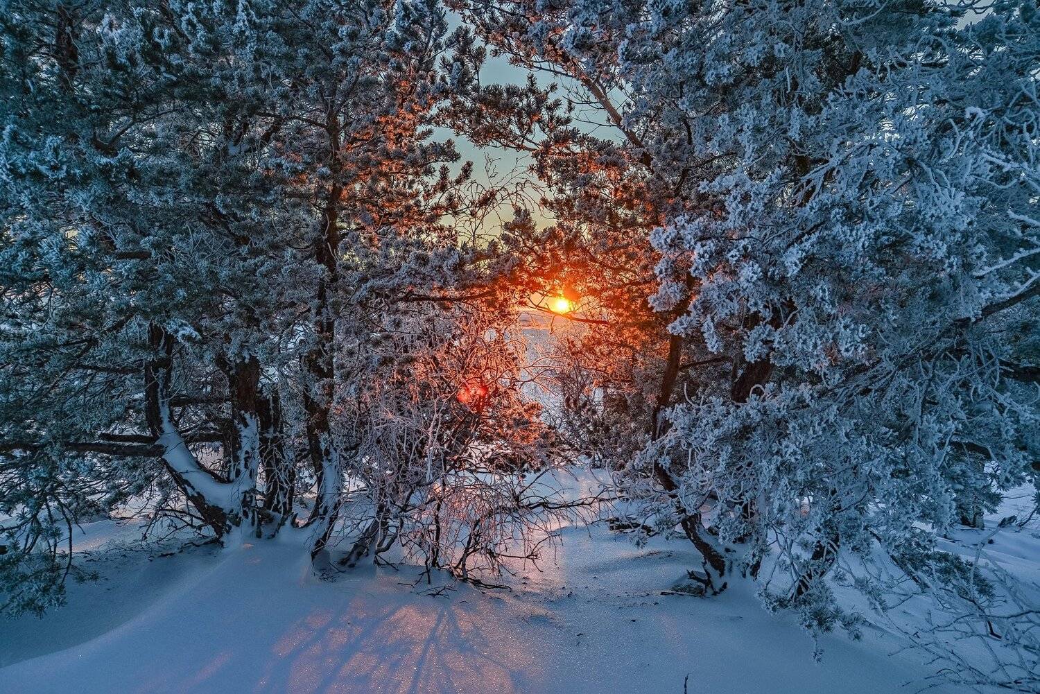 мороз, Евгений Дроботенко