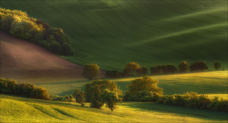 чехия, южная моравия, фототур, south moravia, czech, фототуры 2019, фототур в южную моравию, south moravian landscape, авторский фототур, влад соколовский,фототуры по европе Лето на Мораве фото превью