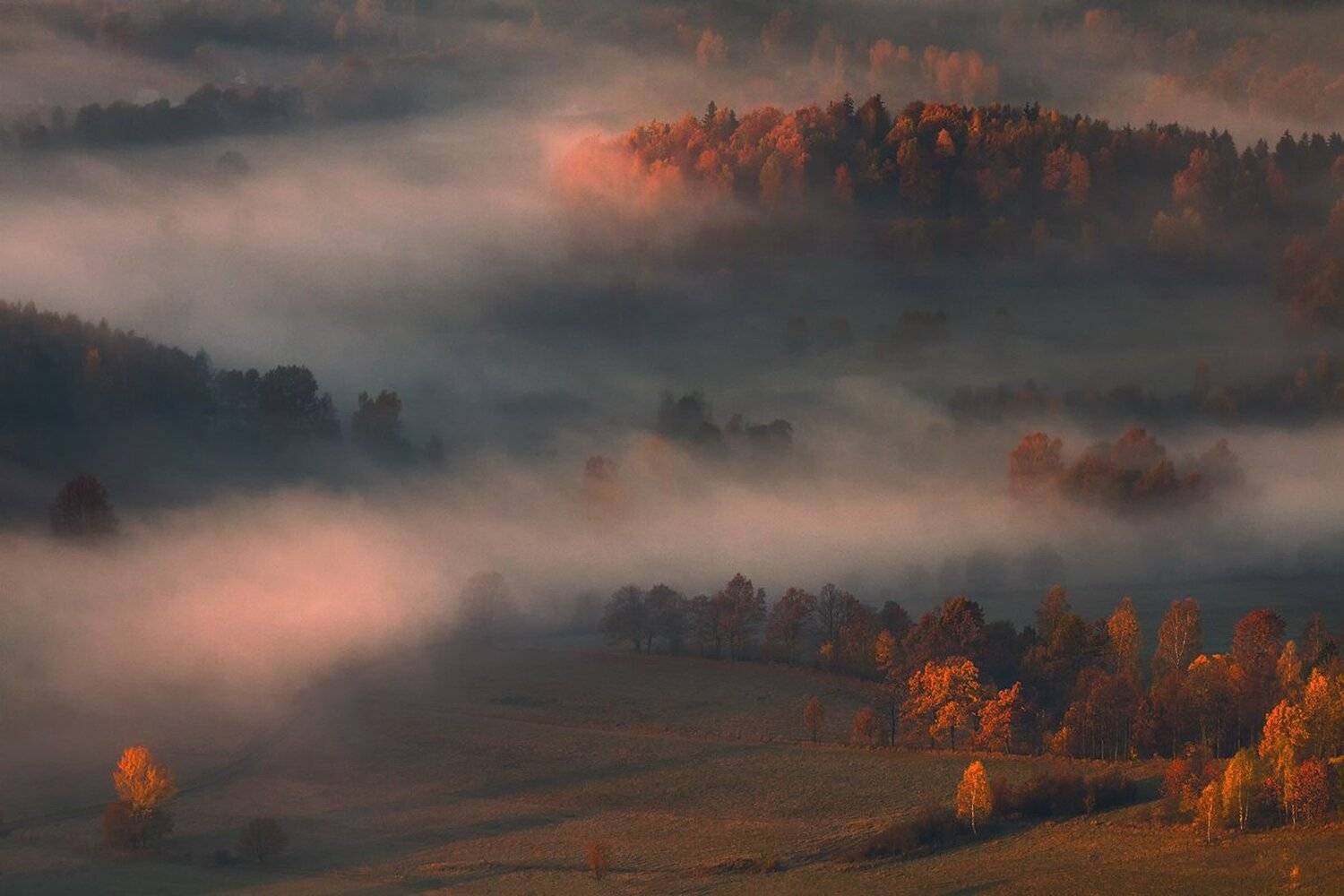 landscape,canon,mist,light,autumn, Iza i Darek Mitręga