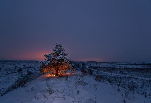 Декабрьский огонёк надежды