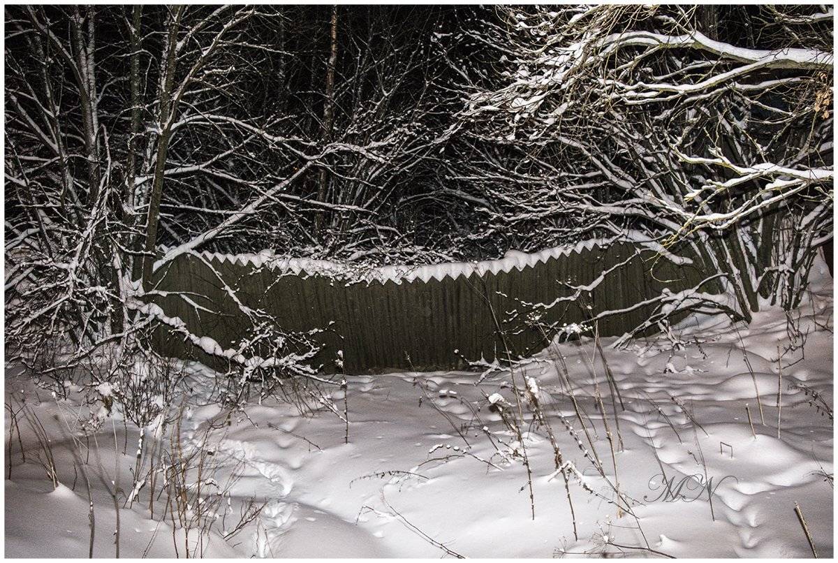 , Марина Никулина