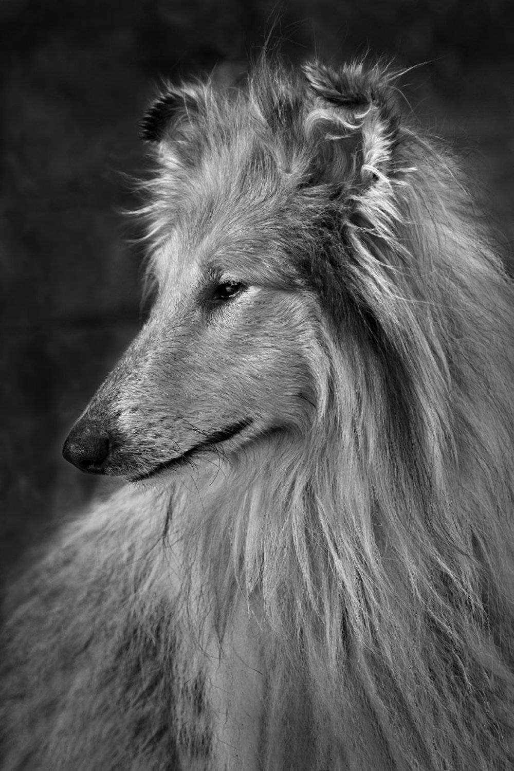 , Гагик Мхитарян